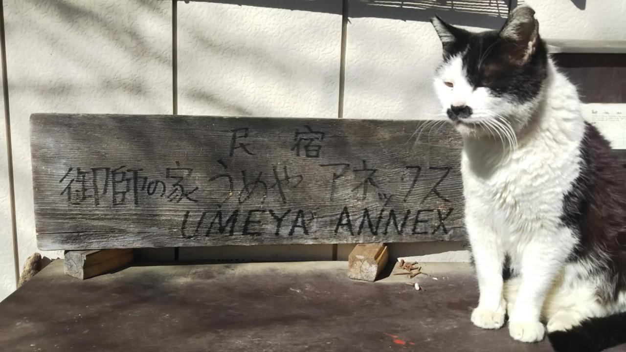 Umeya Annex Guest House Fujikawaguchiko Bagian luar foto